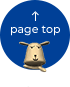 page top